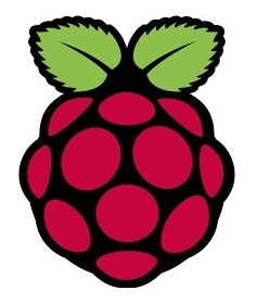 Raspberry Pi 4-2
